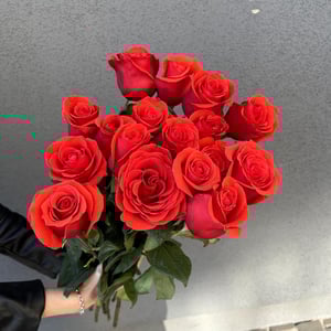 Ramo de rosas 17 piezas