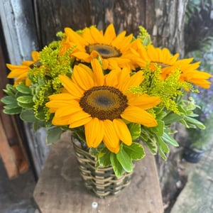 Flower box 'Girassol no cachepot'