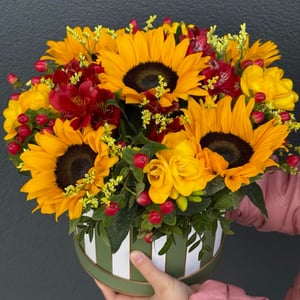 Flower box 'Honey glow'