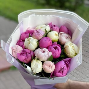 19 peonies mix