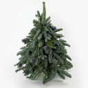 Blumenarrangement 'Zusammensetzung Fischgrät'