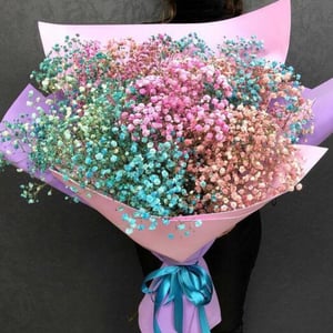 Bouquet of gypsophila