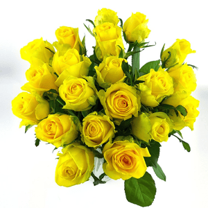 Blumenstrauß '20 Stück gelbe Rosen'