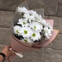 Compliment of 3 chrysanthemums