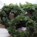 Arrangement 'Christmas Wreath of Nobilis spruce - 10pcs'