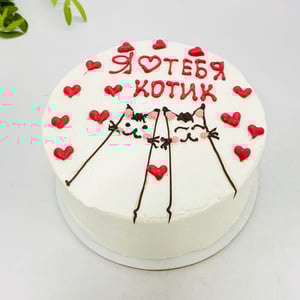 Bento cake "To my cat"