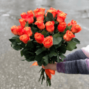 Bouquet 137 of 25 Ecuadorian roses