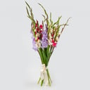 Bouquet of gladioli "Season of abundance"