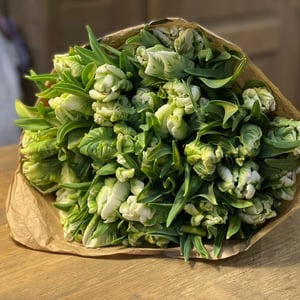 Ramo 'Bouquet of varietal tulips'