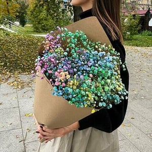 Bouquet de Gypsophile