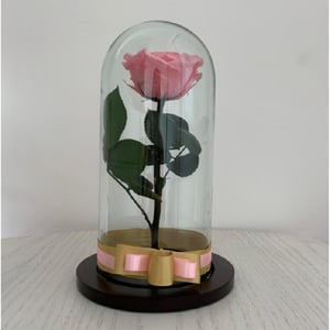 Rosa preservada o eterna