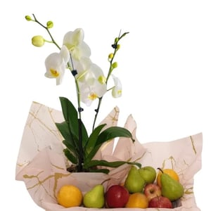 Früchte und Orchideenpflanze