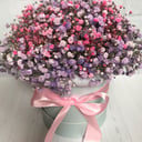 Blumenbox 'Wolke aus Gypsophila'