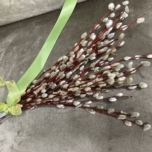 Bouquet 'Easter willow'
