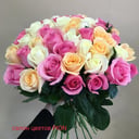 Blumenstrauß '51 Rosen'