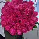 Bouquet of 55 roses