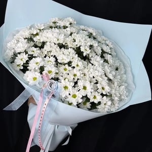 A large bouquet of daisy chrysanthemums.