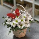 Blumenkorb 'Kamille hallo'