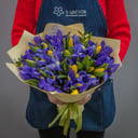 Blumenstrauß 'Capel'