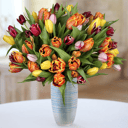 Tulip Bouquet