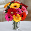 Gerbera Bouquet