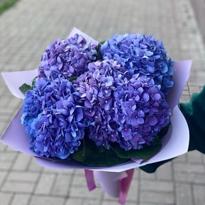 The Bird of Happiness