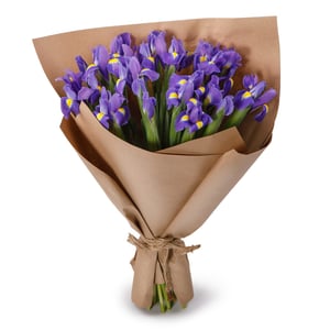 Bouquet 'Iris scent'