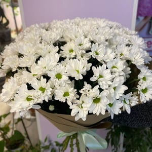 Bouquet of Bush chrysanthemums