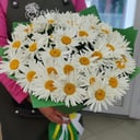 Blumenstrauß 'Gänseblümchen'