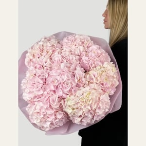 10 pink hydrangeas in a pastel wrap