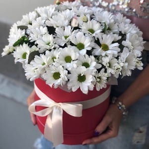 Blumenbox 'camomile field'