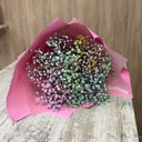 Mixed Gypsophila Bouquet