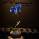 Blau
