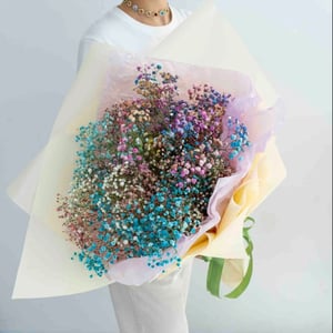 Ramo 'Gypsophila 15 uds.'