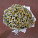 Blumenstrauß '51 Buschkamille'