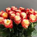 Blumenstrauß 'Bouquet of roses Cabaret'