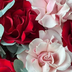 Monobouquet of inside-out roses