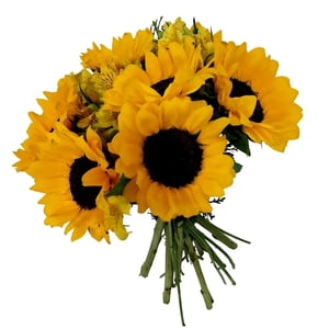 bouquet of 6 sunflowers