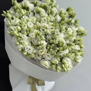 Mazzo 'Lisianthus bianchi, 45 steli'
