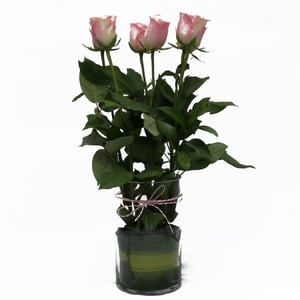 Arrangement 'A sign of attention'