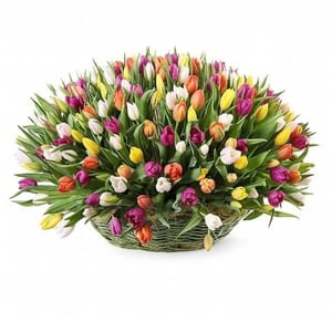 Flower basket 'A scattering of 101 tulips'