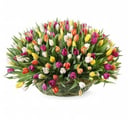 Cesta de flores 'A scattering of 101 tulips'