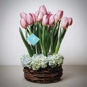 Arrangement 'Nest of Love'