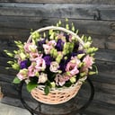 25 colorful eustoma