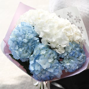 Ramo Nubes en el cielo