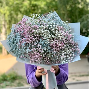 Mono bouquet of gypsophila