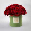 Red roses in green box 25 pcs