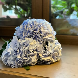 Blumenstrauß 'Three hydrangeas'