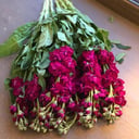 Bouquet 'Love desires'