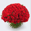 Bouquet of 151 roses "Fatal Passion"
